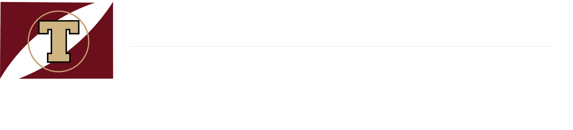 Trademark Attorney USA Logo